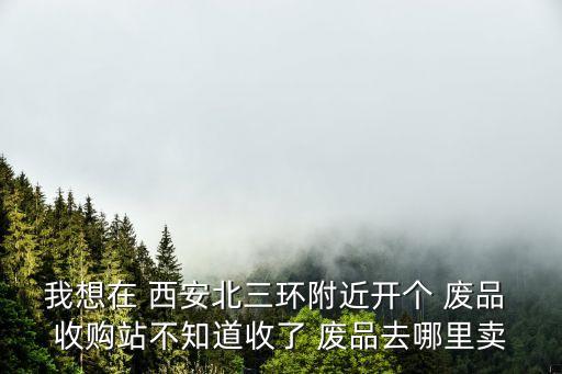 我想在 西安北三环附近开个 废品 收购站不知道收了 废品去哪里卖