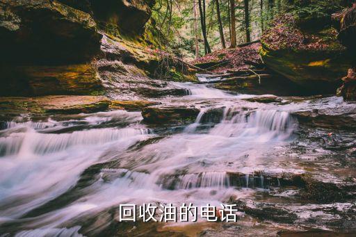 回收油的电话
