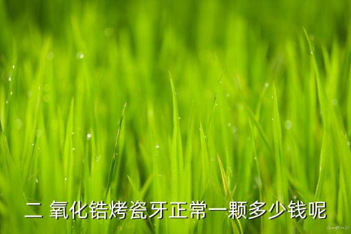 二 氧化锆烤瓷牙正常一颗多少钱呢