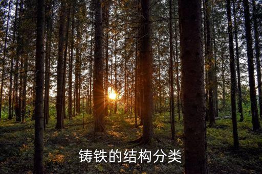 铸铁的结构分类