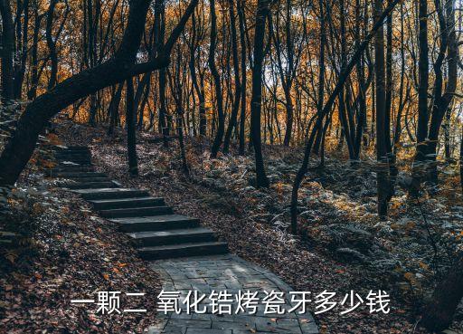 一颗二 氧化锆烤瓷牙多少钱
