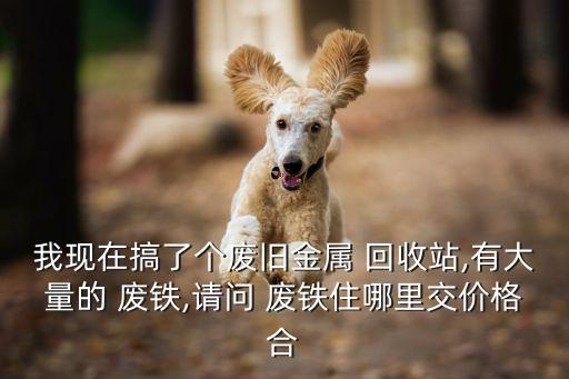 我现在搞了个废旧金属 回收站,有大量的 废铁,请问 废铁住哪里交价格合