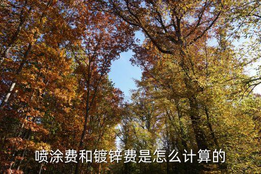 喷涂费和镀锌费是怎么计算的