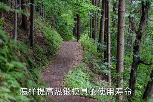 怎样提高热锻模具的使用寿命