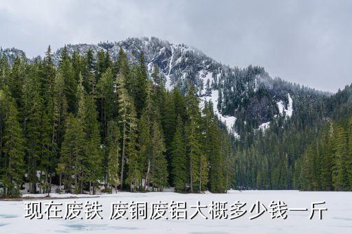 现在废铁 废铜废铝大概多少钱一斤