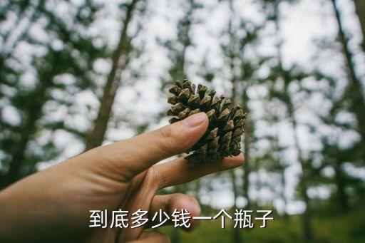 到底多少钱一个瓶子