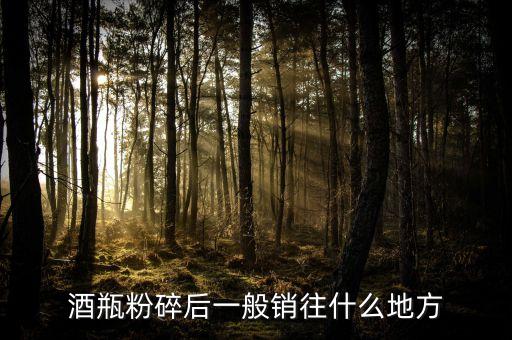 白色药瓶破碎料的价格