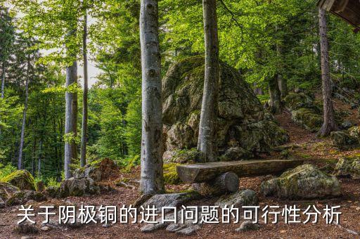 关于阴极铜的进口问题的可行性分析