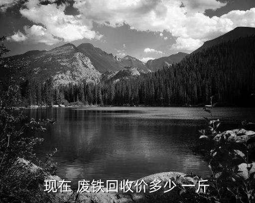 现在 废铁回收价多少 一斤