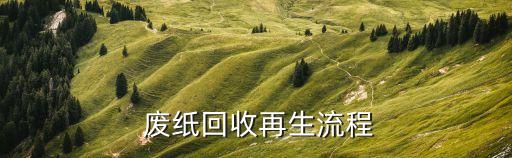  废纸回收再生流程