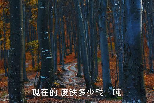 现在的 废铁多少钱一吨