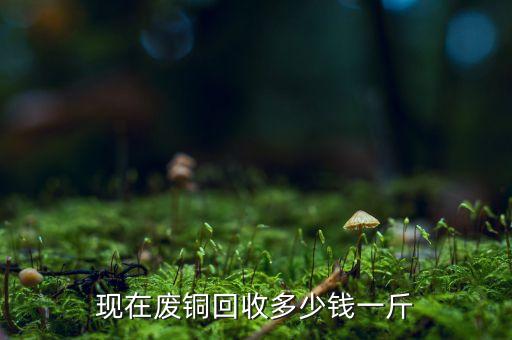 现在废铜回收多少钱一斤