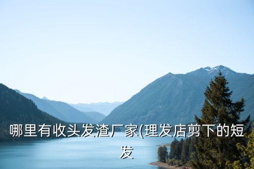 哪里有收头发渣厂家(理发店剪下的短发