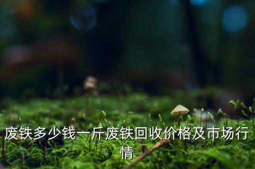 废铁多少钱一斤废铁回收价格及市场行情