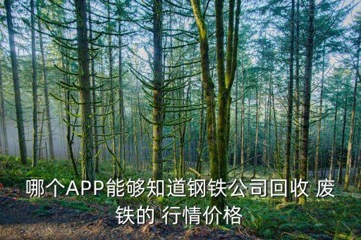哪个APP能够知道钢铁公司回收 废铁的 行情价格