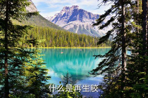 什么是再生胶
