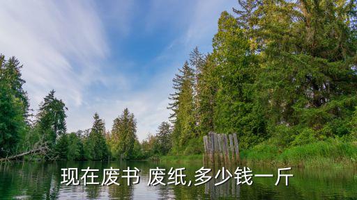 现在废书 废纸,多少钱一斤