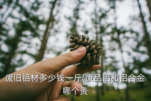废旧铝材多少钱一斤(废品铝和铝合金哪个贵