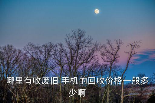 哪里有收废旧 手机的回收价格一般多少啊