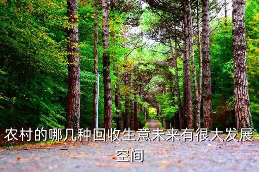 农村的哪几种回收生意未来有很大发展空间