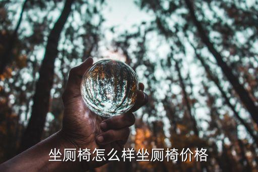坐厕椅怎么样坐厕椅价格