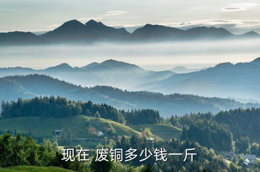 现在 废铜多少钱一斤