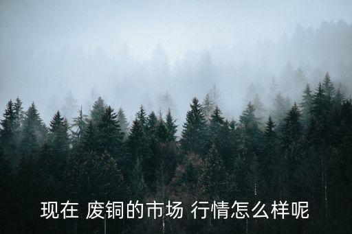 今日山东废铜价格最新行情,山东废铜价格最新行情长江金属网