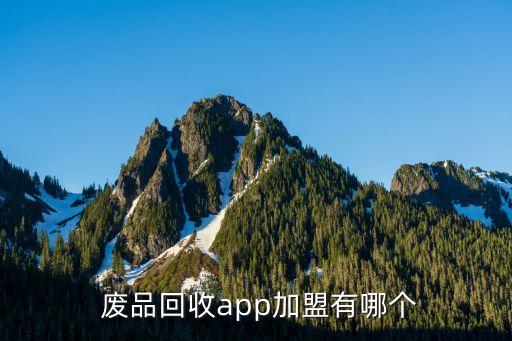 废品回收app加盟有哪个