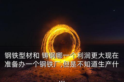 钢铁型材和 铸钢哪一个利润更大现在准备办一个钢铁厂,但是不知道生产什...