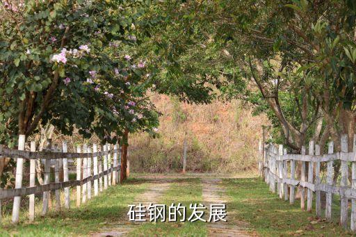 矽钢价格