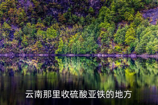 云南那里收硫酸亚铁的地方