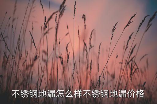 不锈钢地漏怎么样不锈钢地漏价格