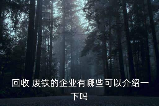  回收 废铁的企业有哪些可以介绍一下吗