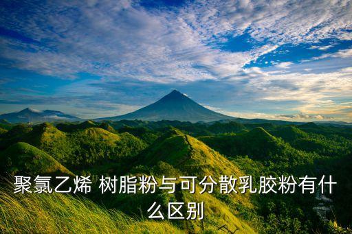 聚氯乙烯 树脂粉与可分散乳胶粉有什么区别