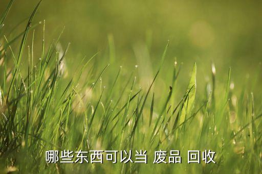 哪些东西可以当 废品 回收