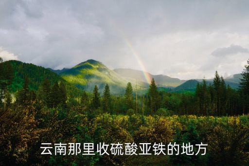 云南那里收硫酸亚铁的地方