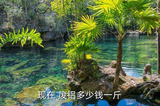 今日贵州废铝价格最新行情,今日废铝价格最新行情金投网