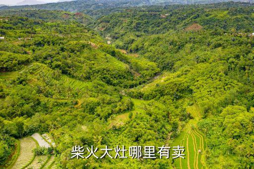  柴火大灶哪里有卖