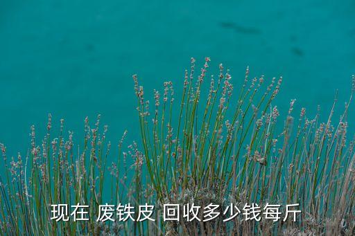 现在 废铁皮 回收多少钱每斤
