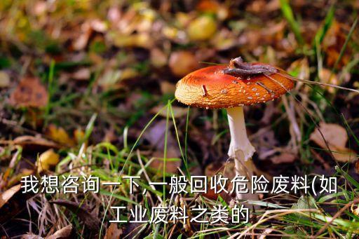 我想咨询一下,一般回收危险废料(如工业废料之类的