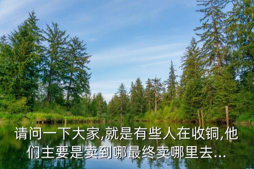 请问一下大家,就是有些人在收铜,他们主要是卖到哪最终卖哪里去...