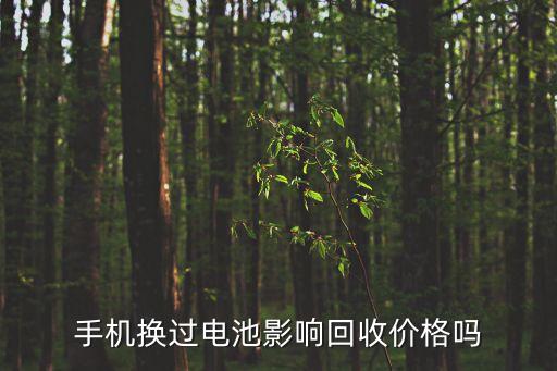 手机换过电池影响回收价格吗
