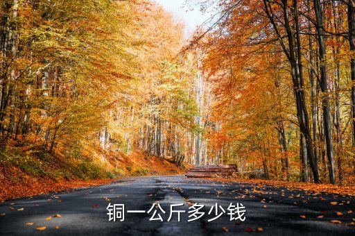 铜一公斤多少钱