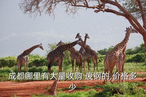 成都哪里有大量收购 废钢的,价格多少