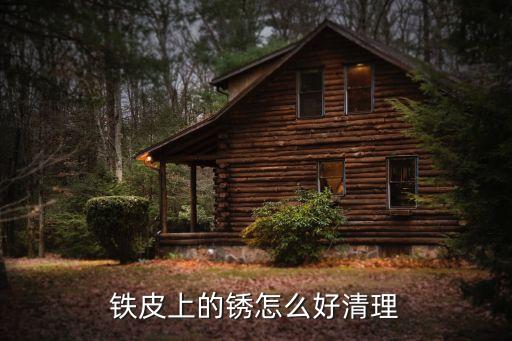 铁皮上的锈怎么好清理