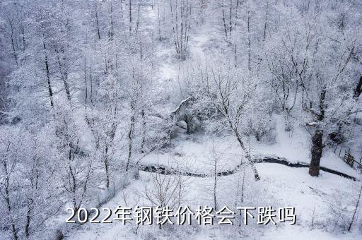 2022年钢铁价格会下跌吗