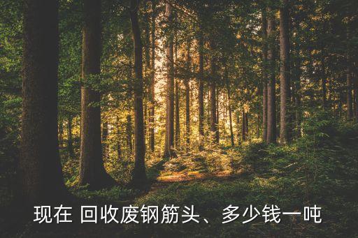 现在 回收废钢筋头、多少钱一吨