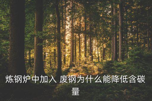 炼钢炉中加入 废钢为什么能降低含碳量