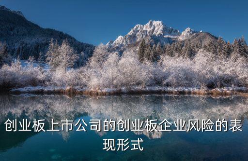 创业板上市公司的创业板企业风险的表现形式