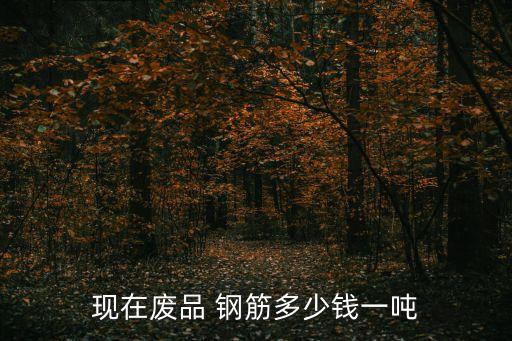 福建废钢筋网价,当前废钢筋回收价是多少